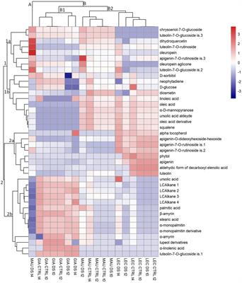 Comparative metabolomics of leaves and stems of three Italian olive cultivars under drought stress